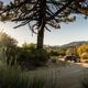 Image for article titled 2020 Audi A6 Allroad Carves Out A Softer Niche
